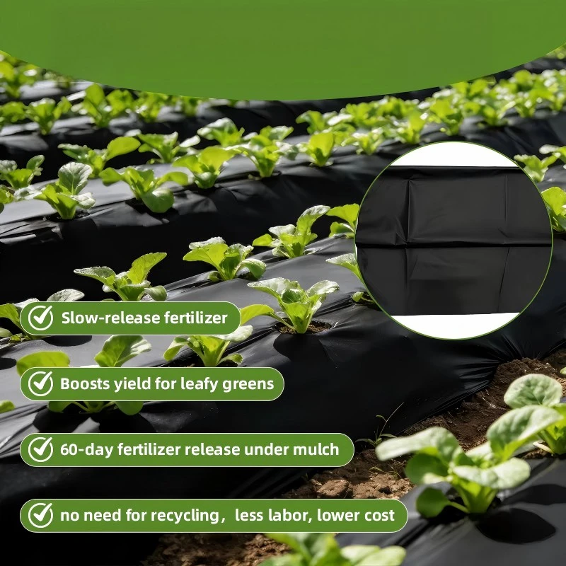 Biodegradable Mulch Paper For Vegetable price